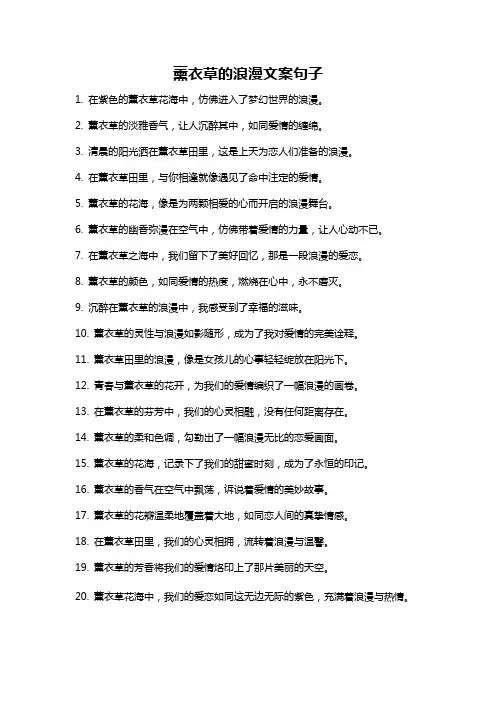 薰衣草的浪漫文案句子