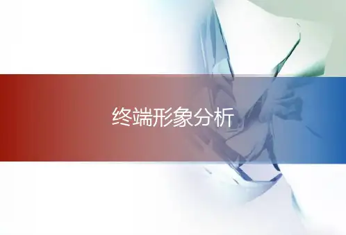终端形象分析 PPT