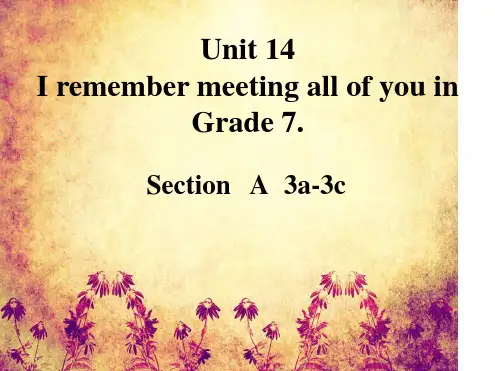 人教版九年级下册英语Unit14SectionA3a 3c共21张