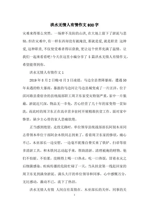 洪水无情人有情作文800字