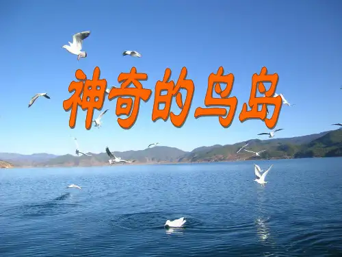 四年级上册语文课件-第二三元8《神奇的鸟岛》 语文A版 (共张PPT)