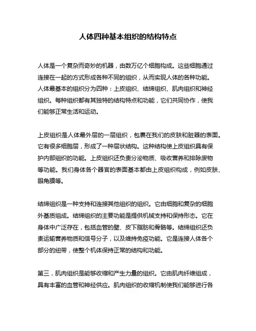 人体四种基本组织的结构特点