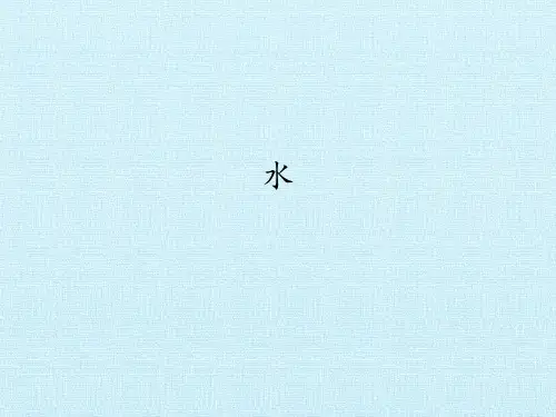 三年级上册科学课件-8 水- 首师大版 (共13张PPT)