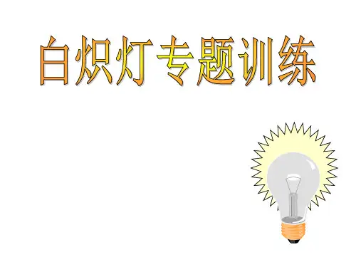 九年级物理中考复习课件：白炽灯与LED灯专题练习
