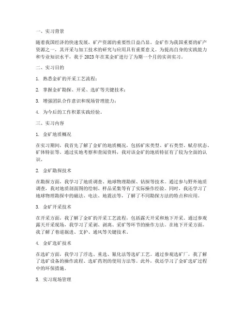 金矿的实训实习报告
