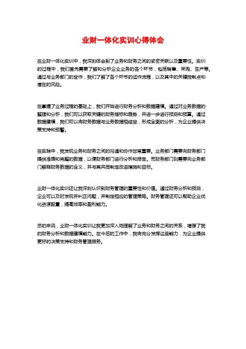 业财一体化实训心得体会
