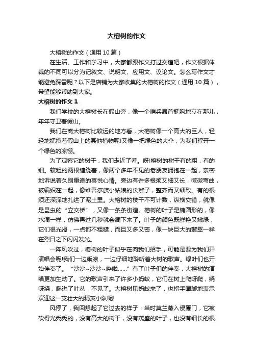 大榕树的作文