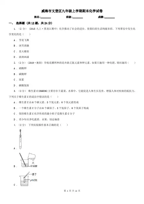 威海市文登区九年级上学期期末化学试卷