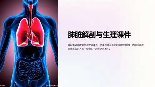 肺脏解剖与生理课件