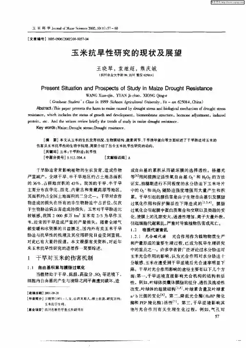玉米抗旱性研究的现状及展望