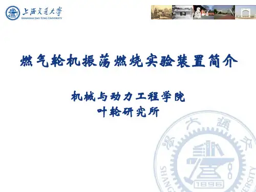 振荡燃烧实验装置
