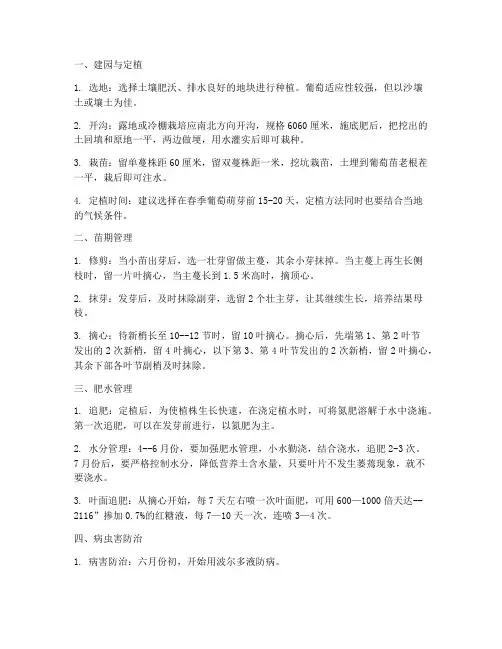 种植葡萄栽培管理技术