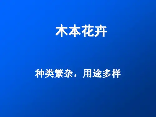 【课件】-花卉草坪学-14花卉学---木本花卉