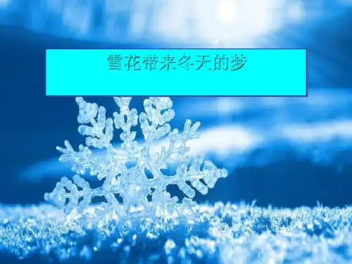 《雪花带来冬天的梦》PPT(上课用)2