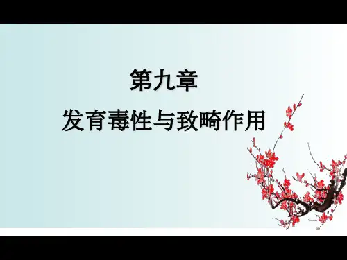 发育毒性与致畸