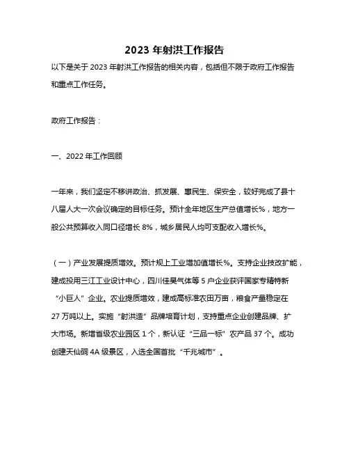 2023年射洪工作报告