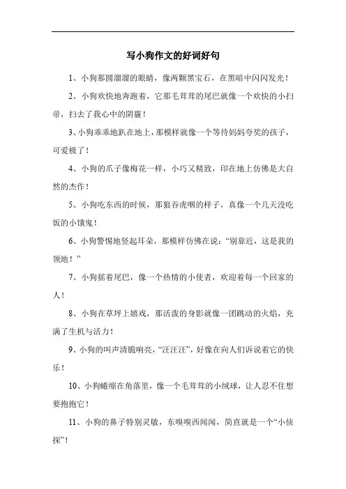 写小狗作文的好词好句