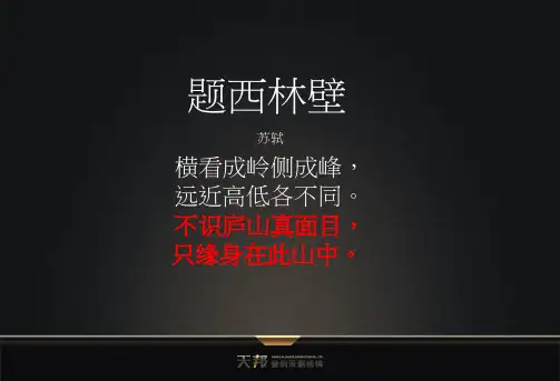 南昌东方海德堡二期整合推广策略二次提案