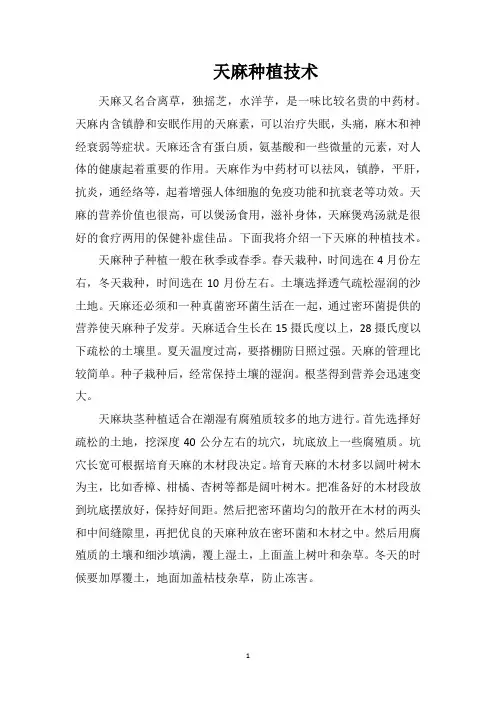 天麻种植技术