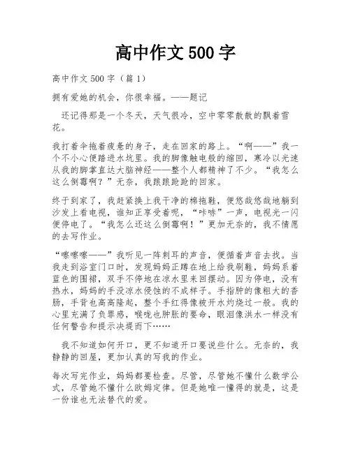 高中作文500字