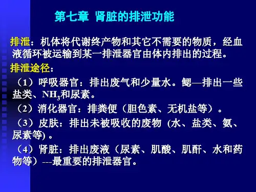 第七章 排泄与渗透压调节