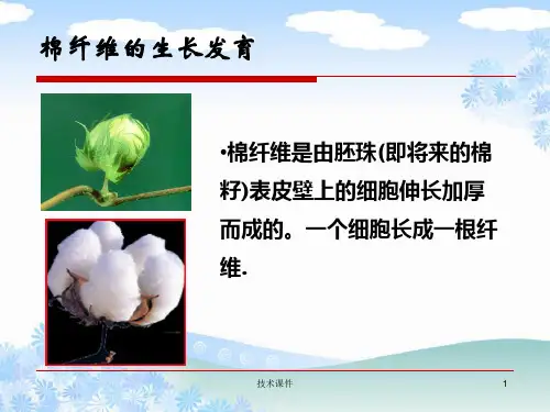 棉纤维性能与检测技术经验