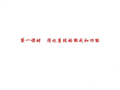 人教版七年级生物下册(课件)2.2.第一课时 消化系统的组成和功能