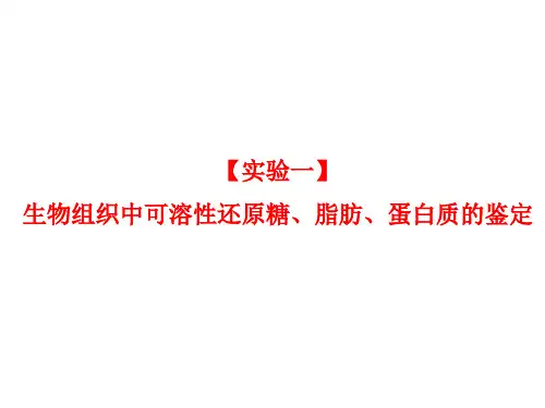 高中生物必修一可溶性还原糖、脂肪、蛋白质的鉴定 人教版