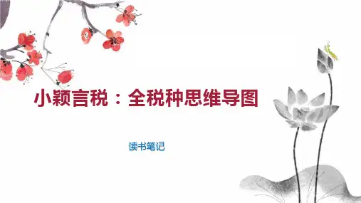 小颖言税：全税种思维导图