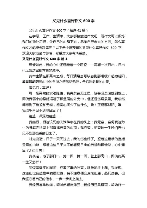 又见什么真好作文600字