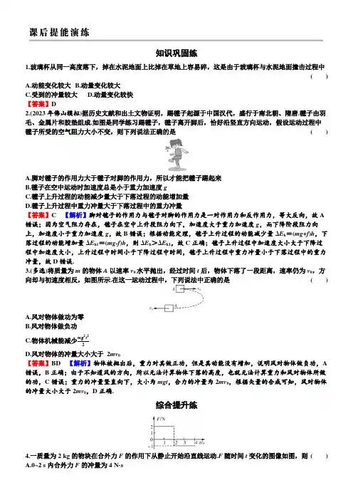 2025年高考物理总复习专题六动量第1讲动量、冲量、动量定理