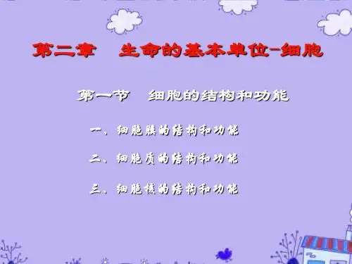高三生物第二章 第一节细胞的结构与功能课件