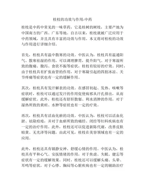 桂枝的功效与作用-中药