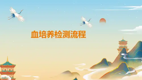 血培养项目检测流程