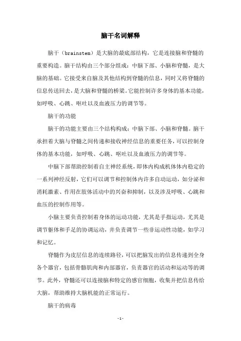 脑干名词解释