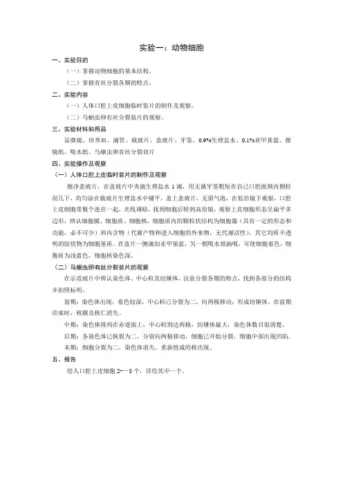 动物学实验教案