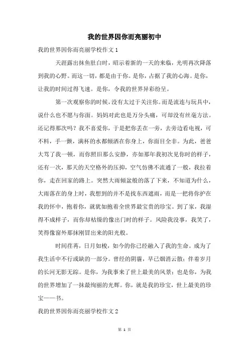 我的世界因你而亮丽初中