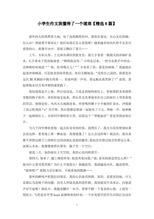 精选小学生作文我懂得了一个道理【6篇】