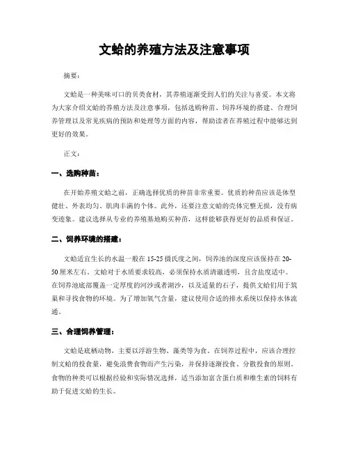 文蛤的养殖方法及注意事项