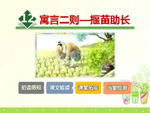 《揠苗助长》PPT-完美版