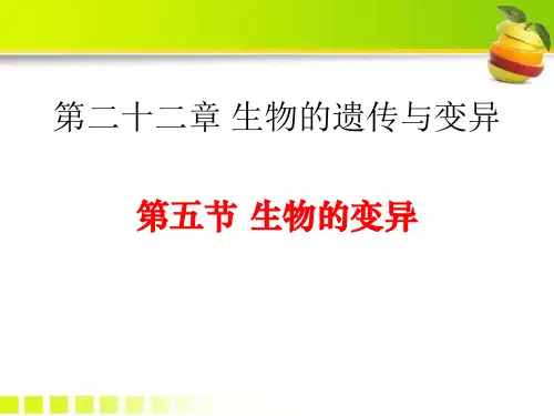 《生物的变异》精美版课件