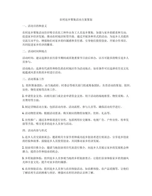 农村返乡聚集活动方案策划