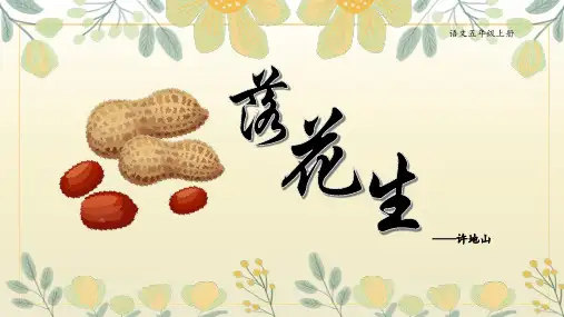 《落花生》ppt课件