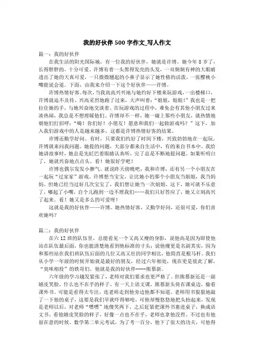 我的好伙伴500字作文_写人作文