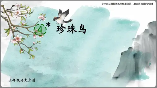 《珍珠鸟》教学课件(共32张PPT)