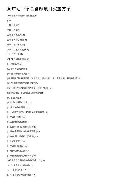 某市地下综合管廊项目实施方案