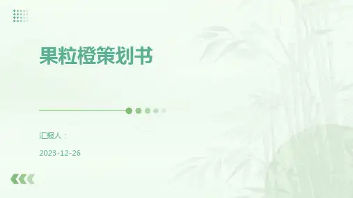 果粒橙策划书