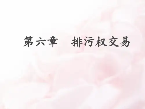 第六章排污权交易ppt课件