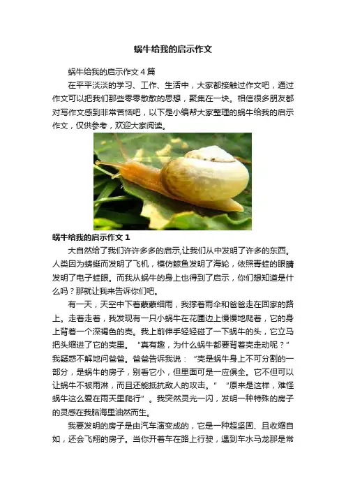 蜗牛给我的启示作文