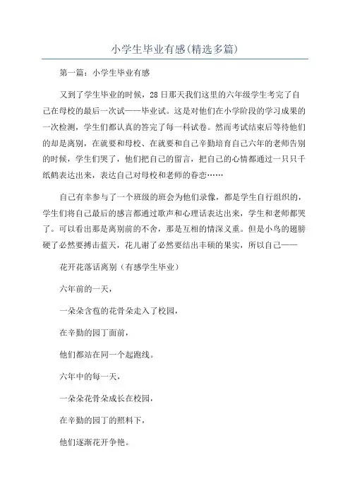 小学生毕业有感(精选多篇)
